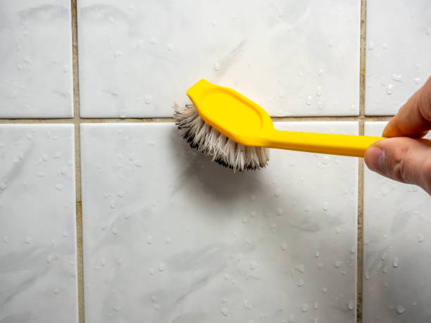 Best Certified Mold Removal  in Orange Park, FL