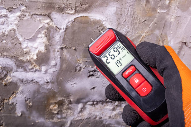 Best Mold Removal Process  in Orange Park, FL